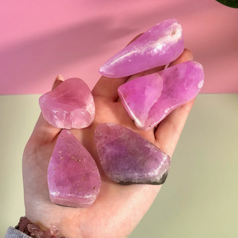 Hand holding five juicy pink aragonite free forms with wave-like patterning.