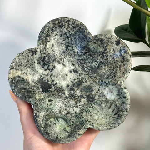 Kiwi Fossil Flower Plate: mottled gray-green stone dish with four lobes, held in hand.
