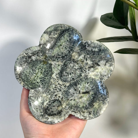 Kiwi Fossil Flower Plate: Green and black patterned fossil stone plate, clover-shaped.
