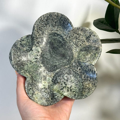 Hand holding a green and black speckled kiwi fossil flower plate.