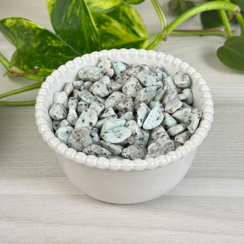 Kiwi Jasper Chips (100g) 1 - Kenna's Crystals from TikTok