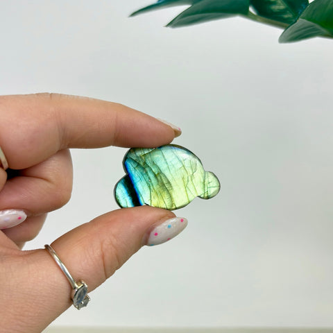 Labradorite Cloud