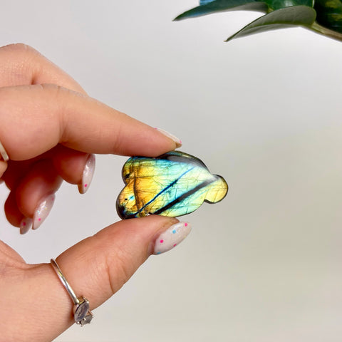 Labradorite Cloud
