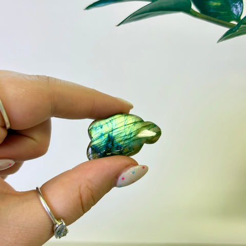 Labradorite Cloud