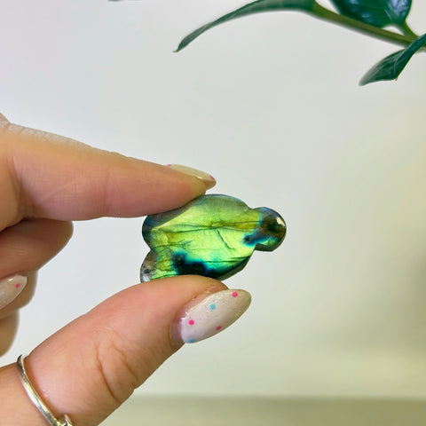 Labradorite Cloud