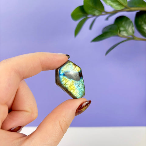Labradorite Coffin - Kenna's Crystals