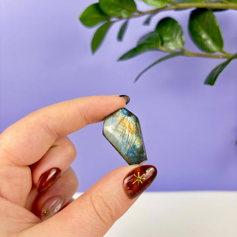 Labradorite Coffin - Kenna's Crystals
