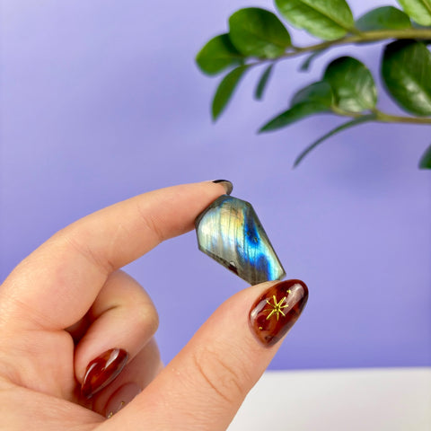 Labradorite Coffin - Kenna's Crystals