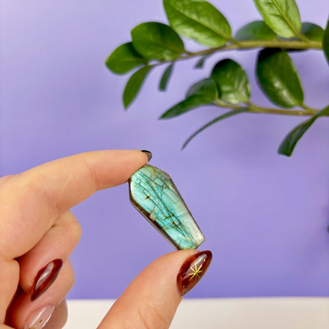 Labradorite Coffin - Kenna's Crystals