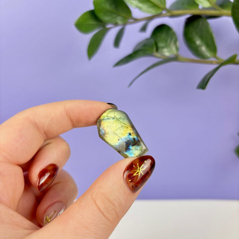 Labradorite Coffin - Kenna's Crystals