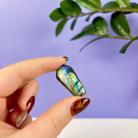Labradorite Coffin - Kenna's Crystals