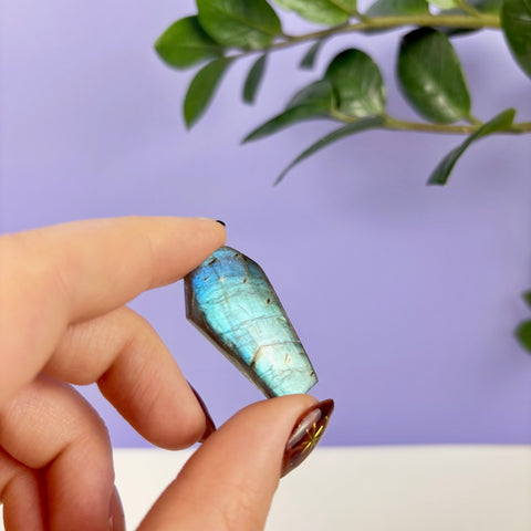 Labradorite Coffin - Kenna's Crystals