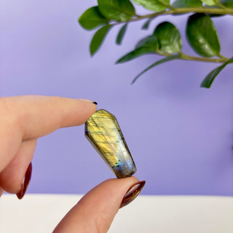 Labradorite Coffin - Kenna's Crystals