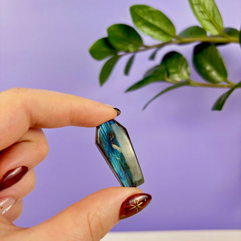 Labradorite Coffin - Kenna's Crystals
