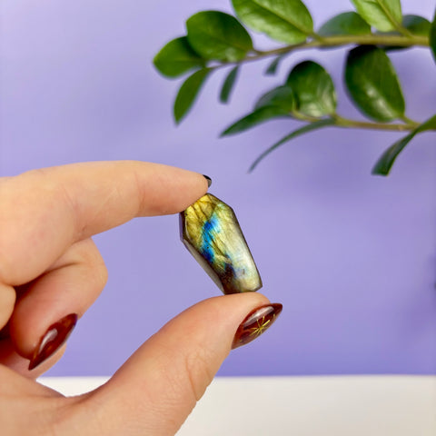 Labradorite Coffin - Kenna's Crystals