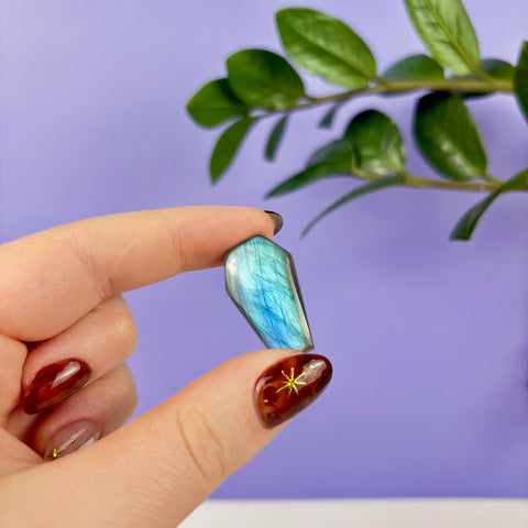 Labradorite Coffin - Kenna's Crystals