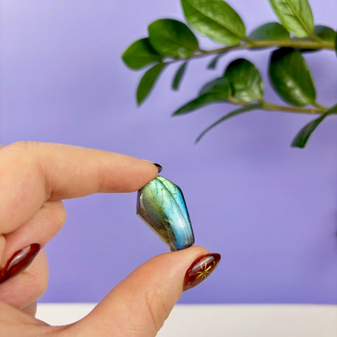 Labradorite Coffin - Kenna's Crystals