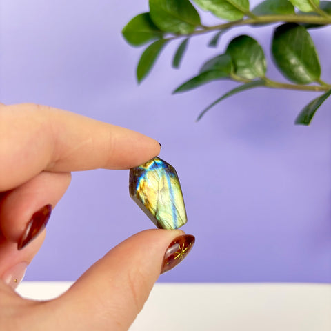 Labradorite Coffin - Kenna's Crystals