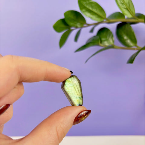 Labradorite Coffin - Kenna's Crystals
