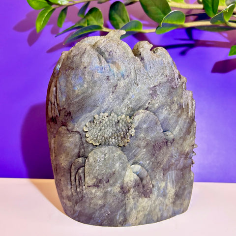 Labradorite Landscape - Kenna's Crystals
