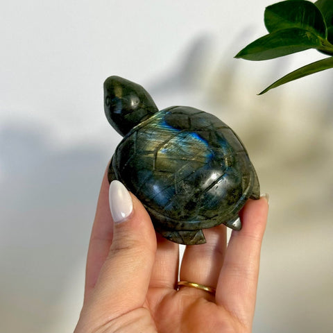 Labradorite Turtle 122 6 - Kenna's Crystals from TikTok