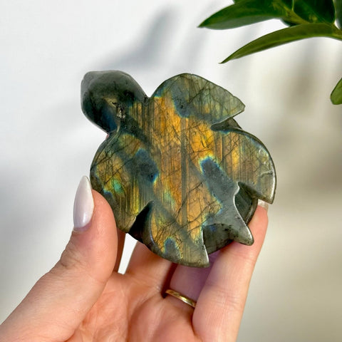 Labradorite Turtle 144 8 - Kenna's Crystals from TikTok
