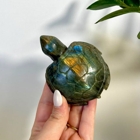 Labradorite Turtle 144 7 - Kenna's Crystals from TikTok
