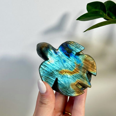 Labradorite Turtle 144 9 - Kenna's Crystals from TikTok