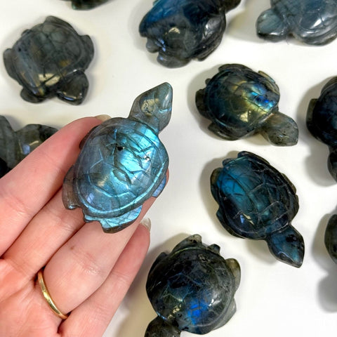 Labradorite Turtle 22 1 - Kenna's Crystals from TikTok