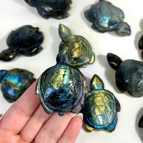 Labradorite Turtle 33 2 - Kenna's Crystals from TikTok