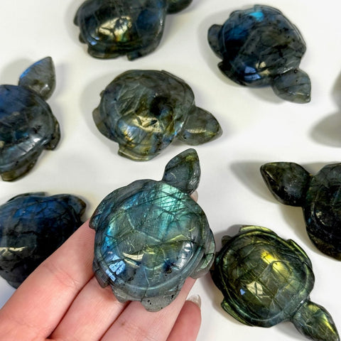 Labradorite Turtle 44 3 - Kenna's Crystals from TikTok