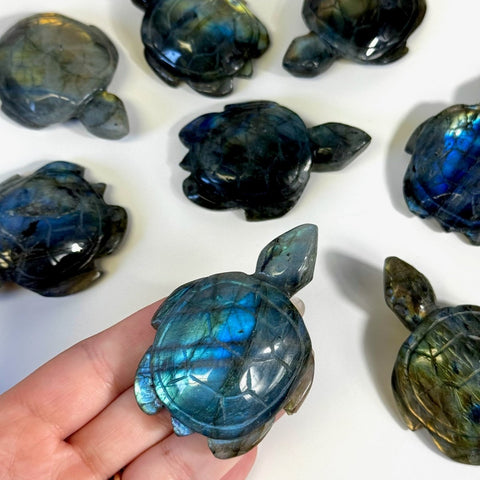 Labradorite Turtle 55 4 - Kenna's Crystals from TikTok