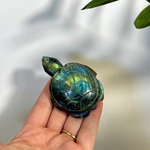 Labradorite Turtle 77 5 - Kenna's Crystals from TikTok