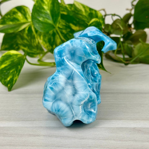 Larimar Free Form - A 3 - Kenna's Crystals from TikTok