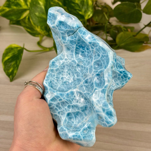 Larimar Free Form - B 6 - Kenna's Crystals from TikTok