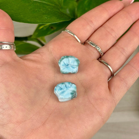 Mini Larimar Shell Carving 44 1 - Kenna's Crystals from TikTok