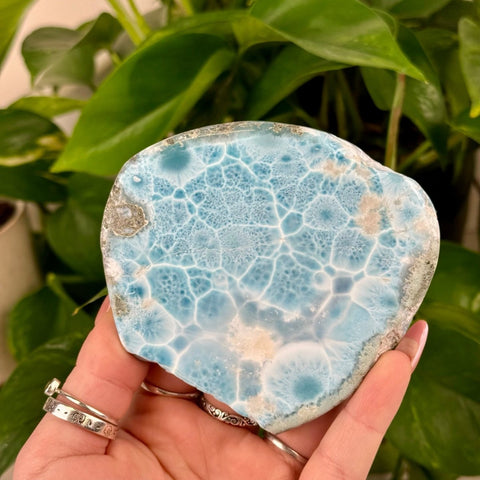 Larimar Slab 888 12 - Kenna's Crystals from TikTok