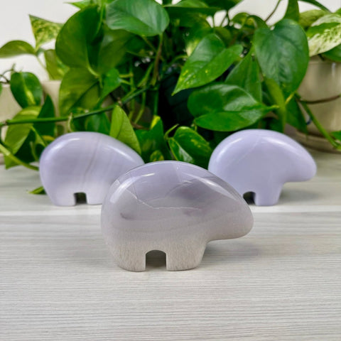 Lavender Fluorite Bear Large 2 - Kenna's Crystals from TikTok