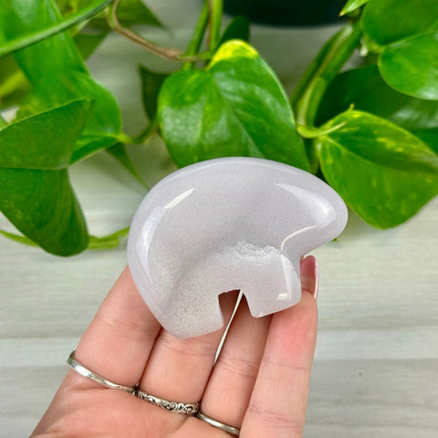 Lavender Fluorite Bear Medium 1 - Kenna's Crystals from TikTok