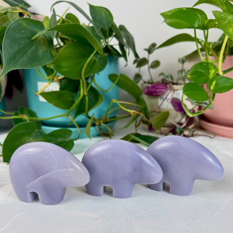 Lavender Fluorite Bear Medium 2 - Kenna's Crystals from TikTok