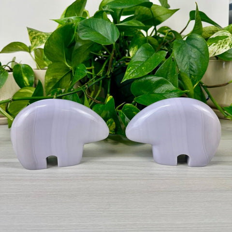 Lavender Fluorite Bear XL 3 - Kenna's Crystals from TikTok