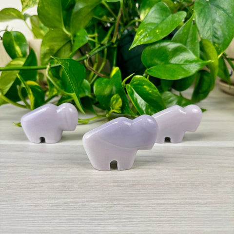 Lavender Fluorite Bison Medium 1 - Kenna's Crystals from TikTok