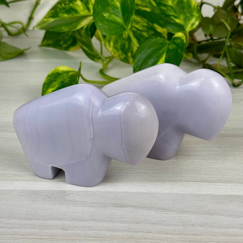 Lavender Fluorite Bison XL 4 - Kenna's Crystals from TikTok