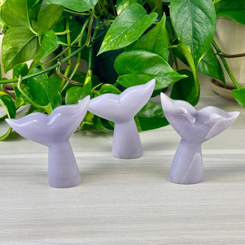 Lavender Fluorite Whale Tail 1 - Kenna's Crystals from TikTok