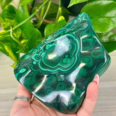 Lavish Malachite Sphere Stand B 4 - Kenna's Crystals from TikTok