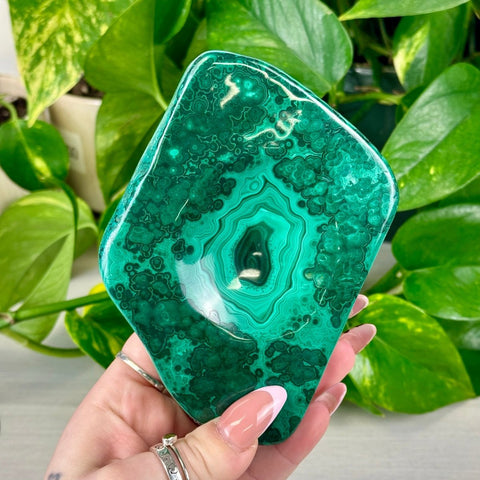 Lavish Malachite Sphere Stand C 6 - Kenna's Crystals from TikTok