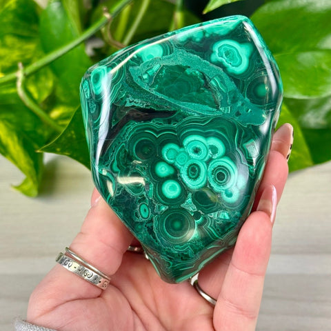 Lavish Malachite Sphere Stand E 10 - Kenna's Crystals from TikTok