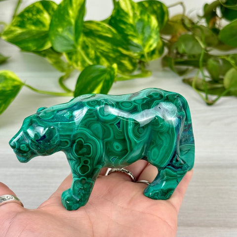 Malachite Animal Carving B - Bear 17 - Kenna's Crystals from TikTok