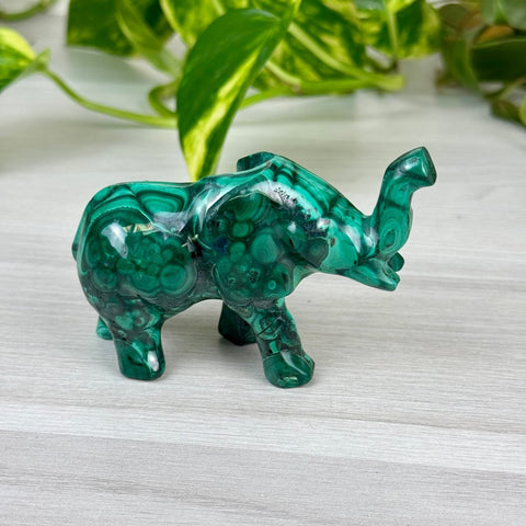 Malachite Animal Carving D - Elephant 15 - Kenna's Crystals from TikTok