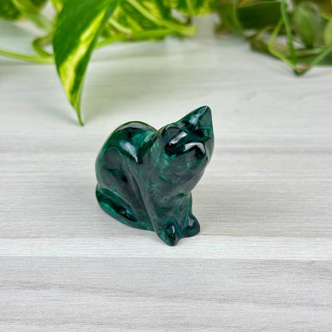 Malachite Animal Carving F - Kitty 14 - Kenna's Crystals from TikTok